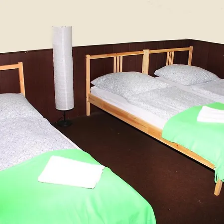 Stella シオーフォク